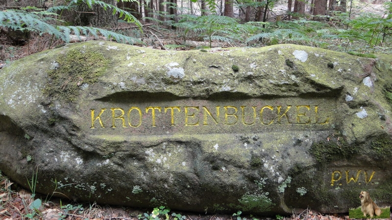 Ritterstein Nr. 128-1 Krottenbuckel.JPG - Ritterstein Nr.128  Krottenbuckel                             